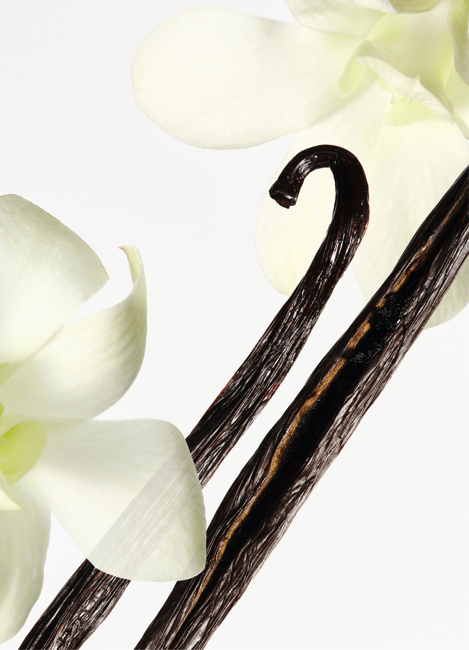 HYPOALLERGENIC FRAGRANCE